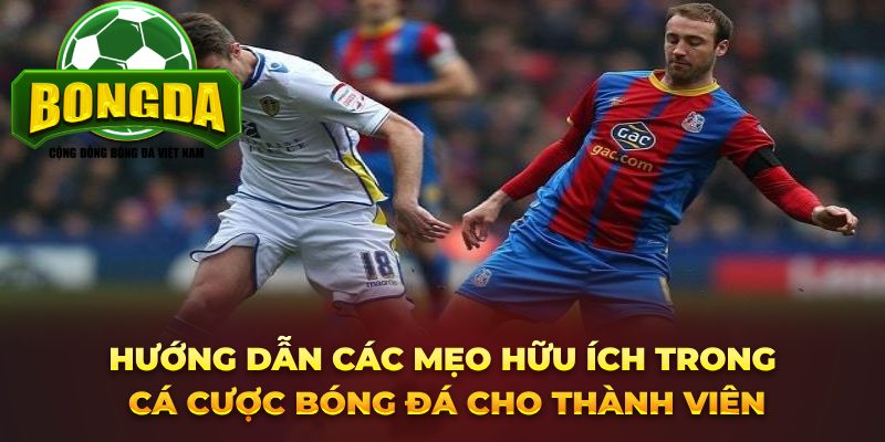 Hướng dẫn các mẹo hữu ích trong cá cược bóng đá cho thành viên