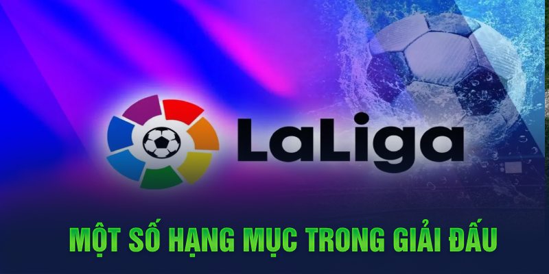 Một số hạng mục trong giải đấu